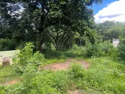 View 32