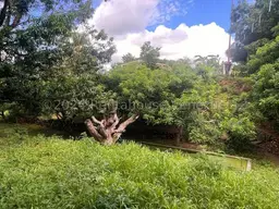 View 33