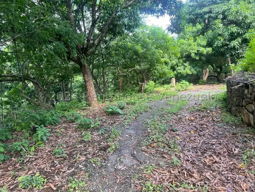 Casa (1 Nivel) en Venta en Distrito San Casimiro, Aragua - 34