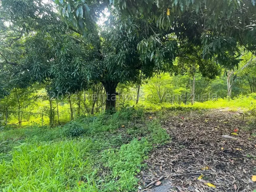 Casa (1 Nivel) en Venta en Distrito San Casimiro, Aragua - 35