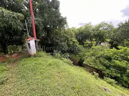 View 40