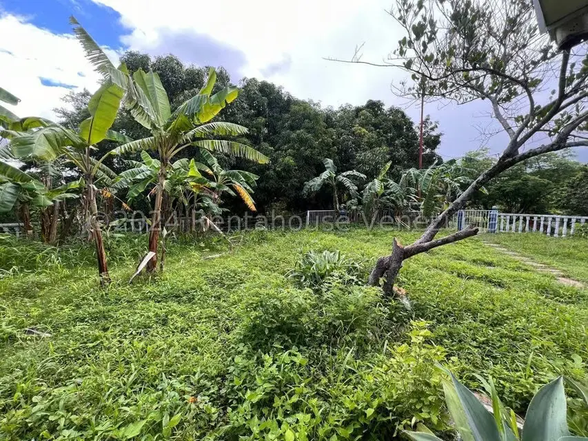 Casa (1 Nivel) en Venta en Distrito San Casimiro, Aragua - 41