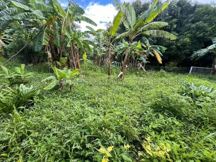 Casa (1 Nivel) en Venta en Distrito San Casimiro, Aragua - 43