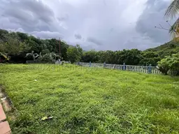 View 44