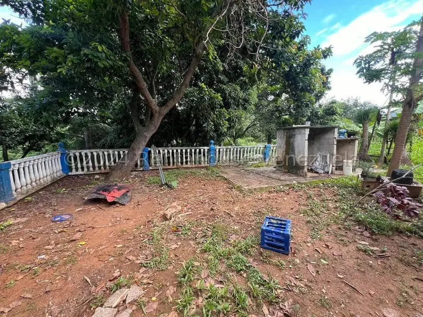 Casa (1 Nivel) en Venta en Distrito San Casimiro, Aragua - 46