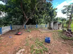 View 46