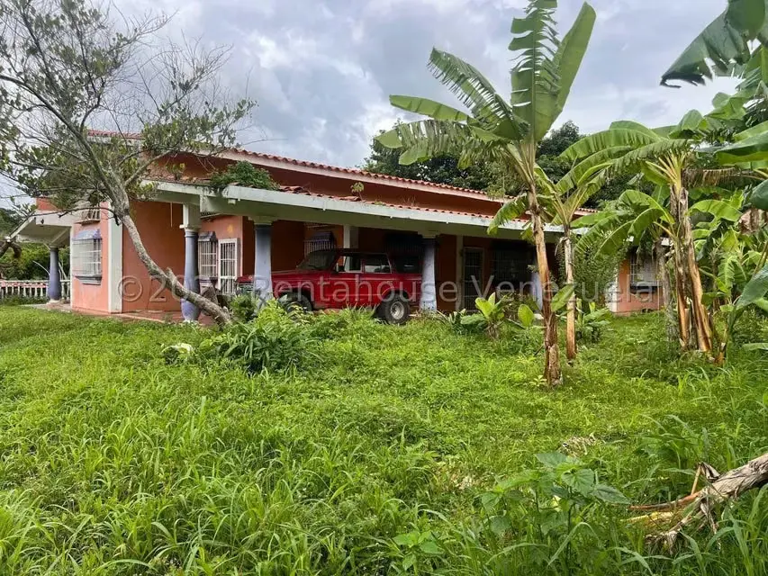 Casa (1 Nivel) en Venta en Distrito San Casimiro, Aragua - 50