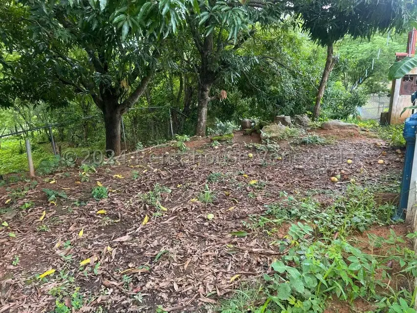 Casa (1 Nivel) en Venta en Distrito San Casimiro, Aragua - 52