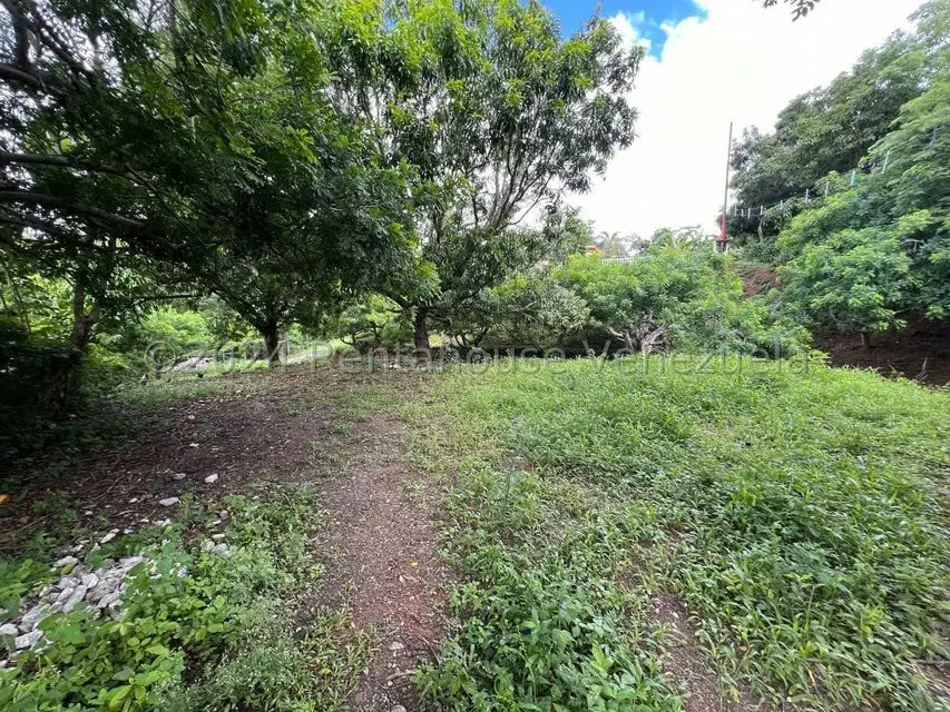 Casa (1 Nivel) en Venta en Distrito San Casimiro, Aragua - 55