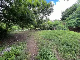 View 55