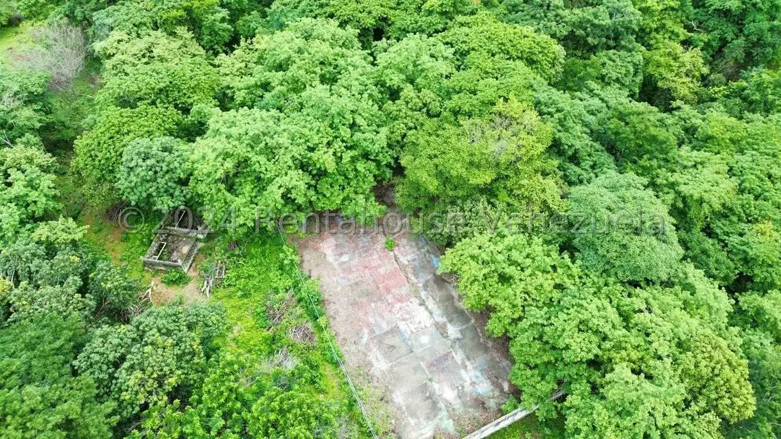 Casa (1 Nivel) en Venta en Distrito San Casimiro, Aragua - 81