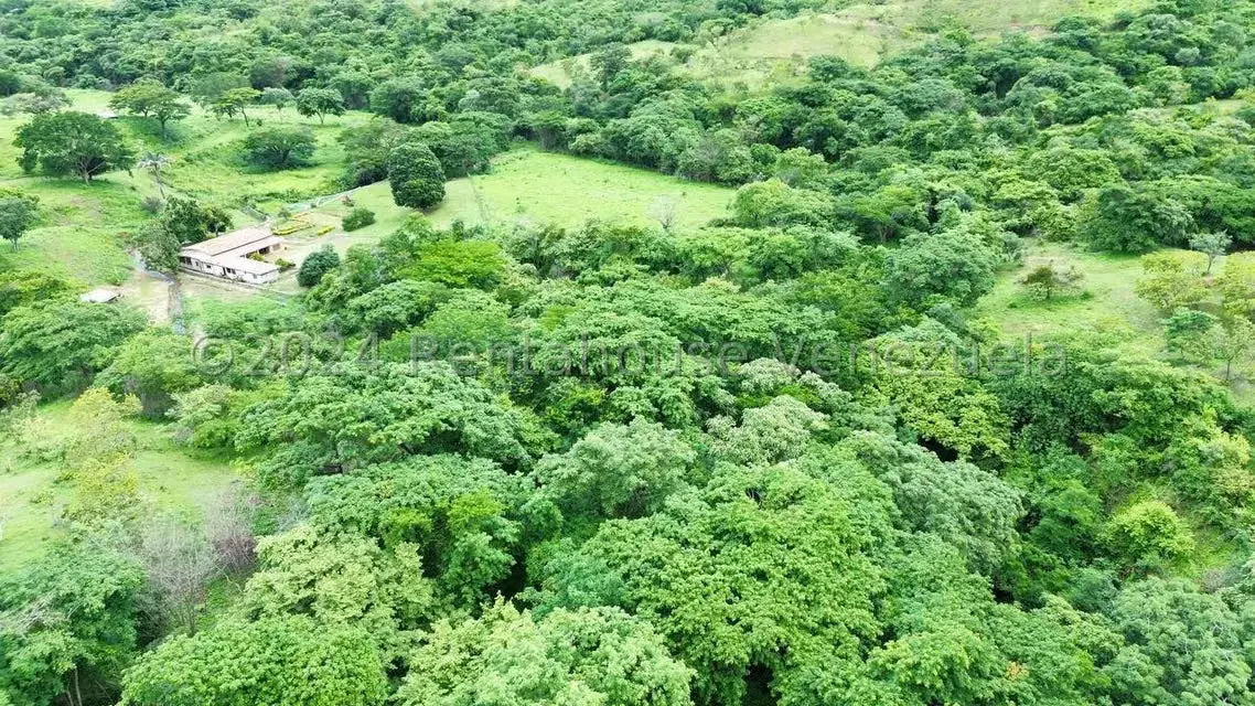 Casa (1 Nivel) en Venta en Distrito San Casimiro, Aragua - 82