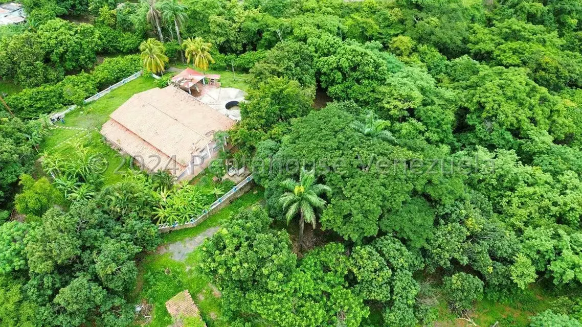 Casa (1 Nivel) en Venta en Distrito San Casimiro, Aragua - 87