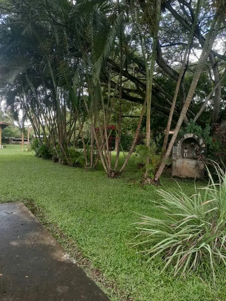 Casa en Venta Safari Carabobo - 3
