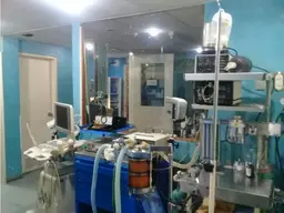 Vista 6
