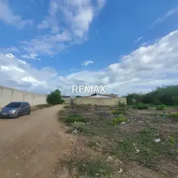 Vista 4