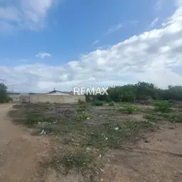 Vista 5