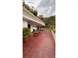 Vista 9