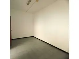 Vista 12