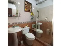 Vista 25