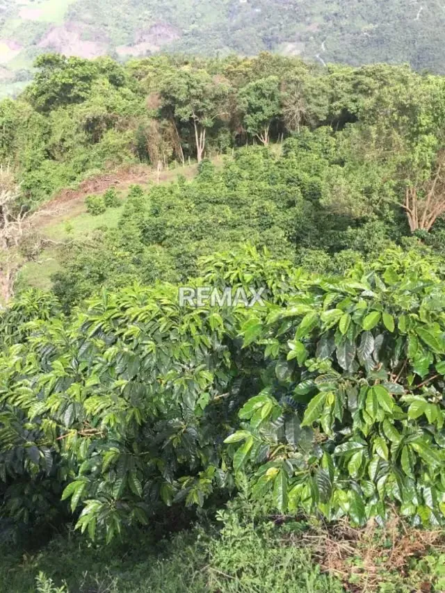 VENDO FINCA AGROTURÍSTICA EN VENTA | CUBIRO - 4