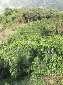 Vista 4