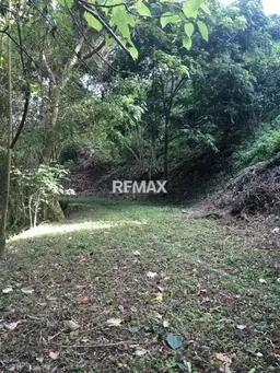 Vista 6