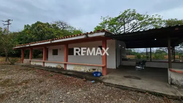 116 HECTAREAS MAICERAS PRODUCTIVAS EN VENTA, DE FACIL ACCESO. A 15 MIN DE LA CIUDAD
