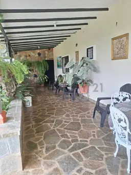 Vista 15