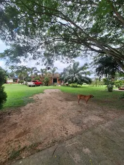 Vista 9