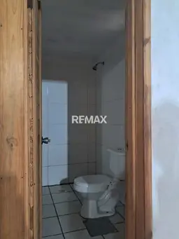 Vista 5