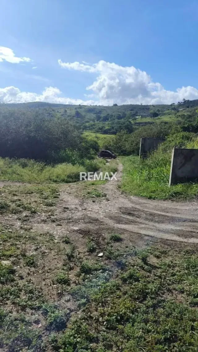 En venta parcelas N.° 43 Ubicadas en el área urbana de Lobatera, Municipio Lobatera, Estado Táchira. - 4