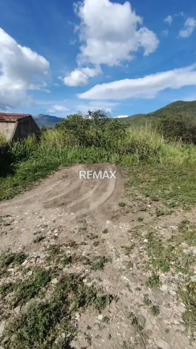 En venta parcelas N.° 43 Ubicadas en el área urbana de Lobatera, Municipio Lobatera, Estado Táchira. - 5