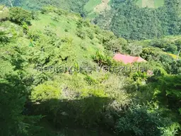 Vista 12