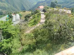 Vista 39