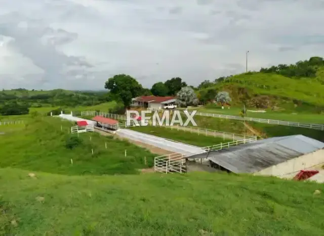 Venta Finca 55 hectáreas en Tinaco