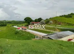 Vista 1