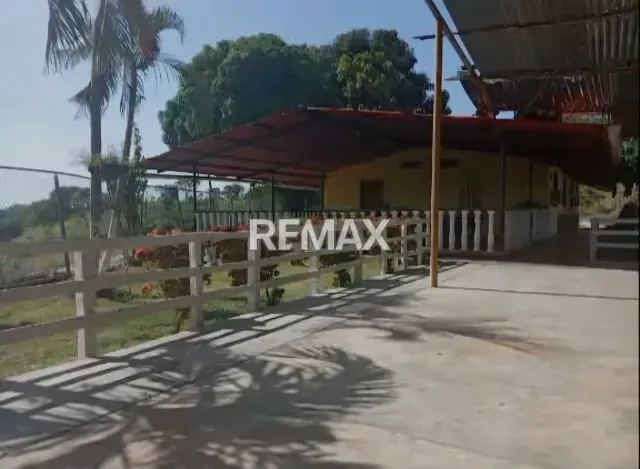 Venta Finca 55 hectáreas en Tinaco - 12