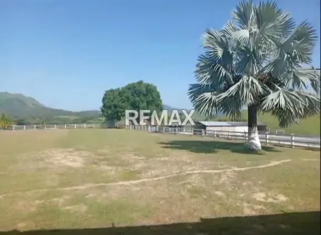 Venta Finca 55 hectáreas en Tinaco - 13