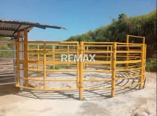 Venta Finca 55 hectáreas en Tinaco - 5
