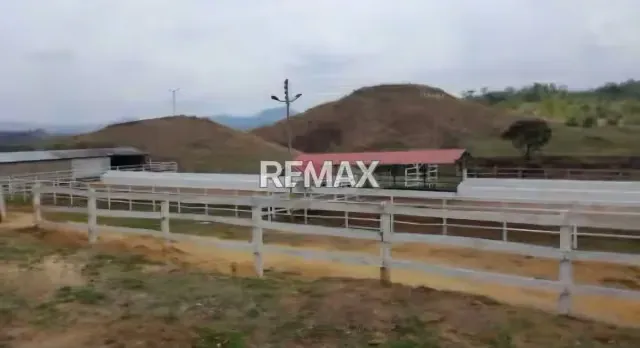 Venta Finca 55 hectáreas en Tinaco - 10