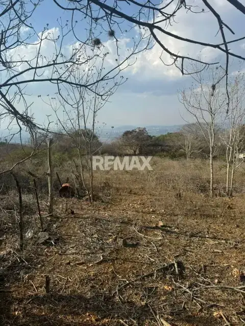 VENDO TERRENO CON BIENHECHURIAS EN AGUA VIVA CABUDARE
