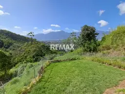 View 10