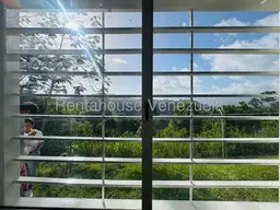 Vista 6
