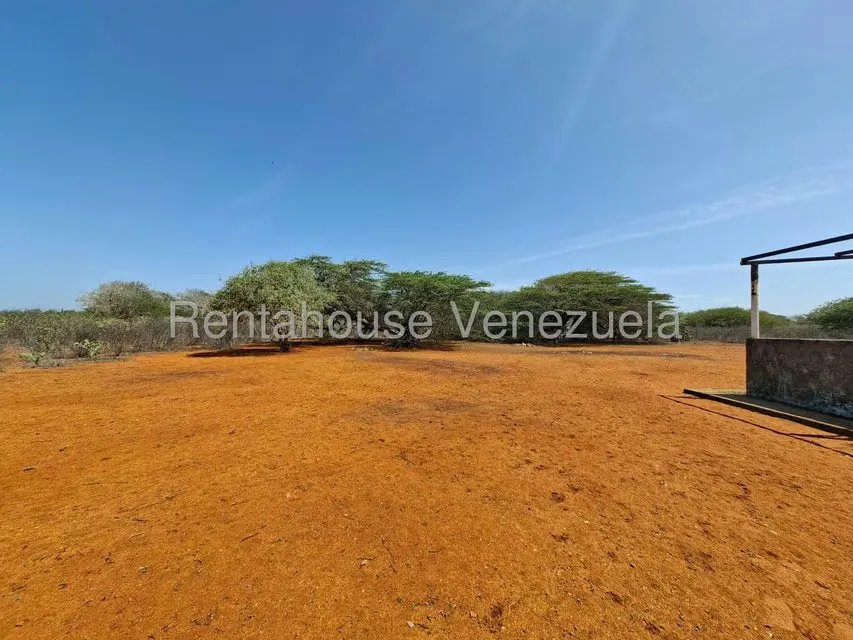 Terreno (Finca) en Venta en Pueblo Nuevo, Falcon