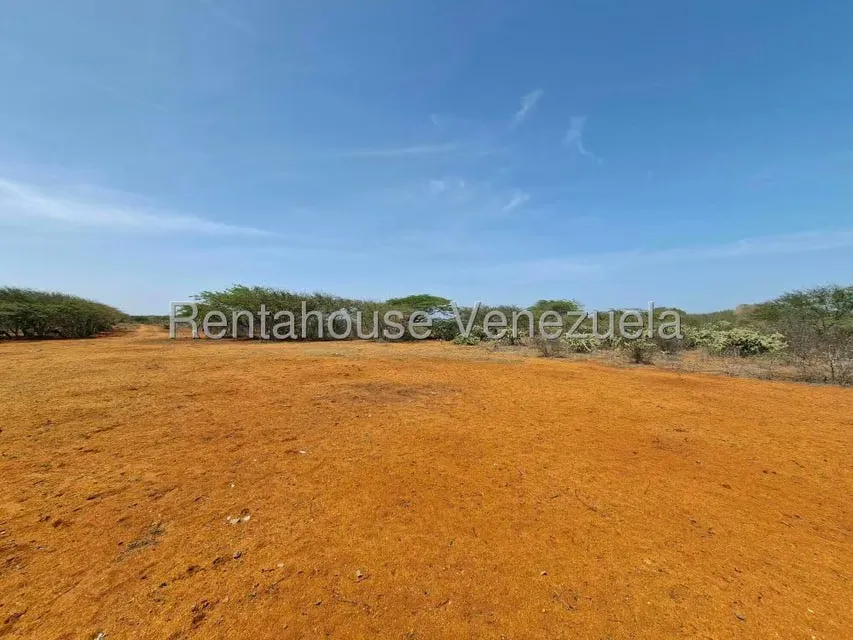 Terreno (Finca) en Venta en Pueblo Nuevo, Falcon - 2