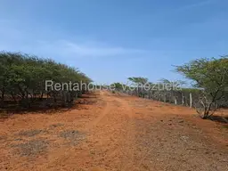 Vista 12