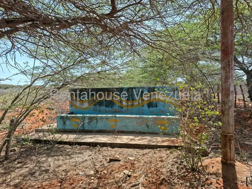 Terreno (Finca) en Venta en Pueblo Nuevo, Falcon - 15