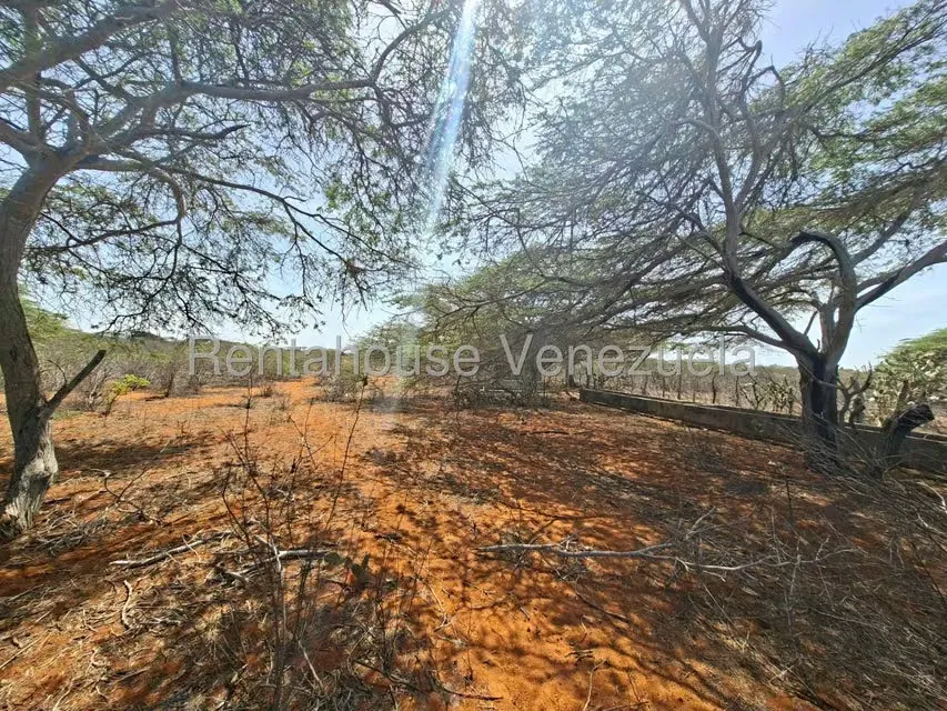 Terreno (Finca) en Venta en Pueblo Nuevo, Falcon - 17