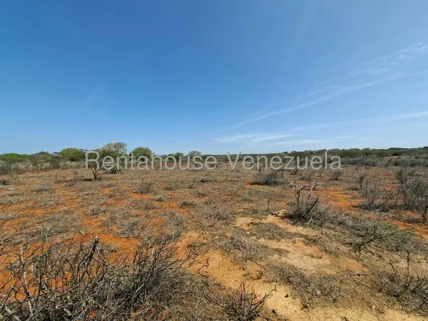 Terreno (Finca) en Venta en Pueblo Nuevo, Falcon - 18